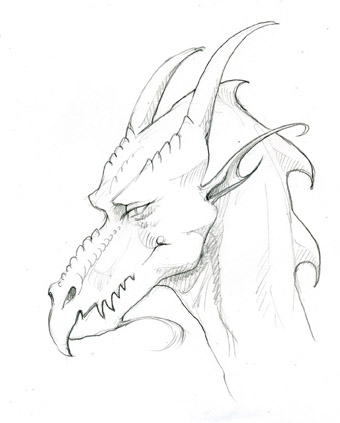 Dragon Sketch by Jennifer Broschinsky.