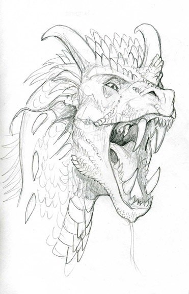 Dragon Sketch. Pencil by Jennifer Broschinsky.