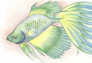 January Post Card: Fish by Jennifer Broschinsky
